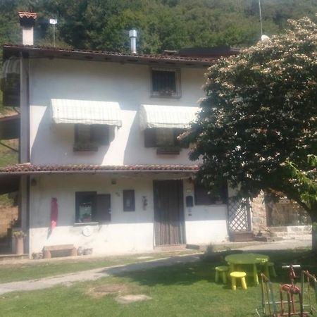 B&B In Fattoria Frisanco 外观 照片