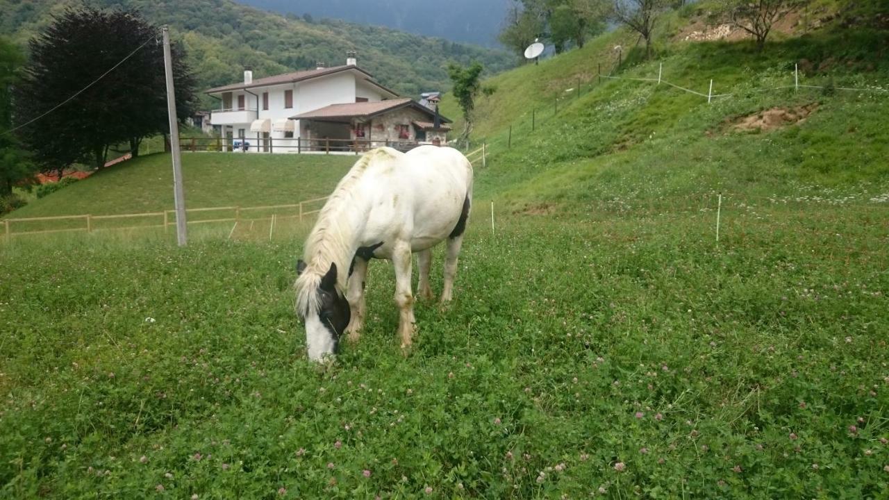 B&B In Fattoria Frisanco 外观 照片