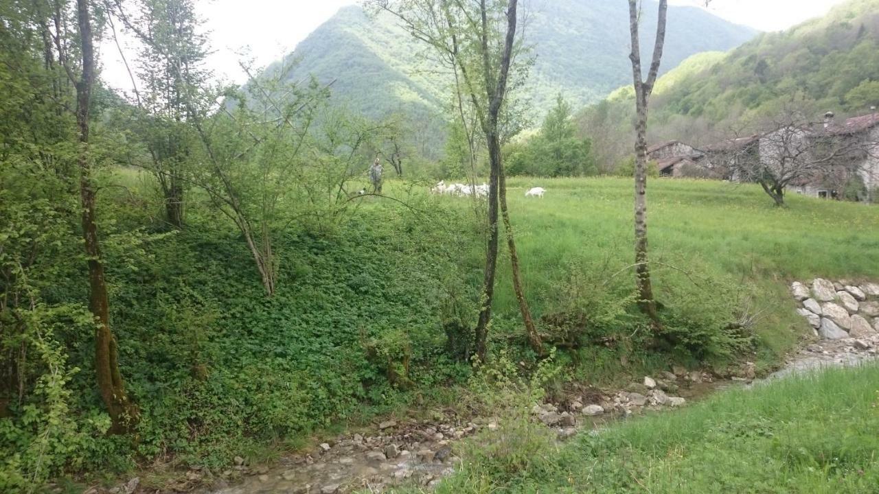B&B In Fattoria Frisanco 外观 照片