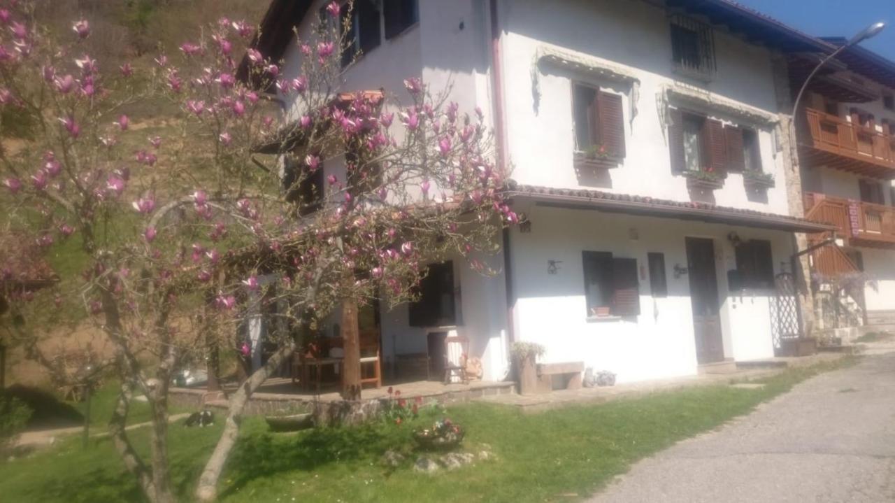 B&B In Fattoria Frisanco 外观 照片